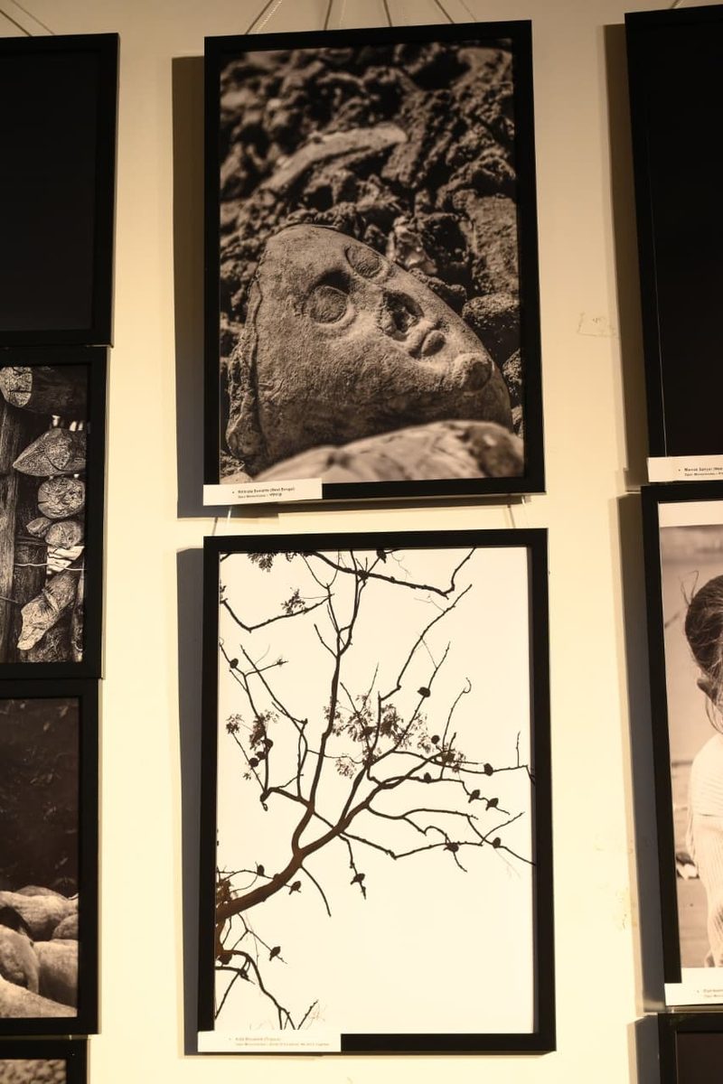 Exhibition wall III